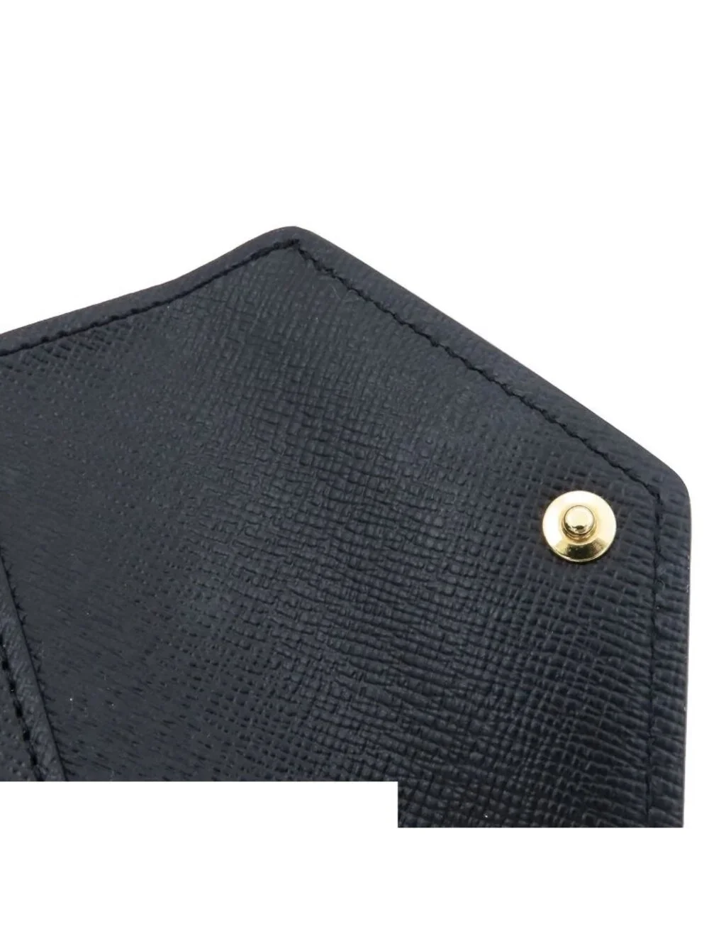 Louis Vuitton brand louis